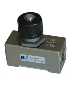 Zawór dławiąco-zwrotny AS3000