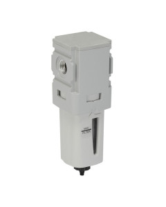 P31FB 1/4 ″ mini filter