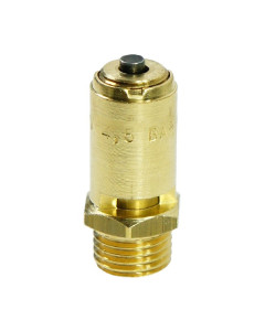 Zawór bezpieczeństwa 1/4″ 4,5bar