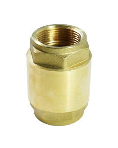 صمام فحص الفراغ 1″