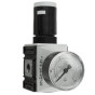 Pressure reducer 1/4 ″ 0.1 - 16 bar